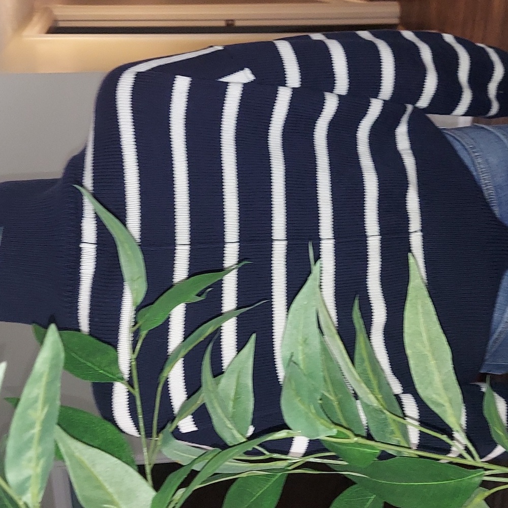 Banana Republic Organic Cotton Navy and Cream striped Sweater - Picture 3 of 4